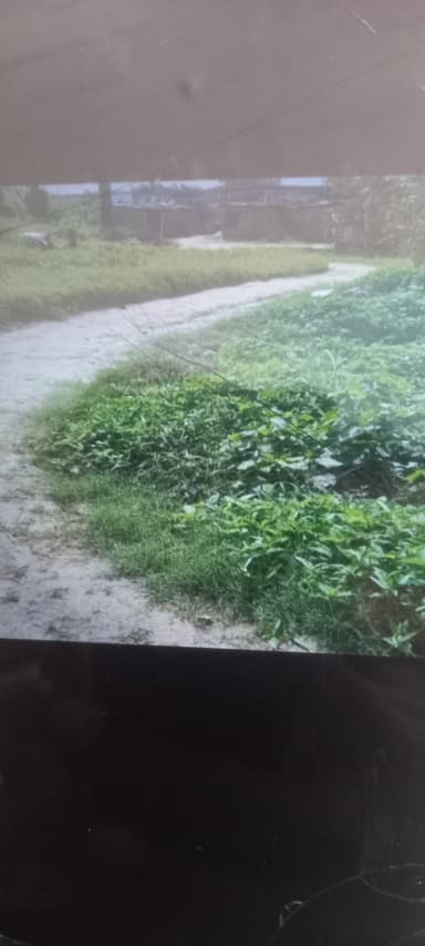 Broken Roads in 8F65+3R2, Gopalganj - Barharia - Maharajganj Rd, Barharia, Bihar 841232, India – reported issue