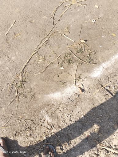 Broken Roads in 9F47+7J Bargachhia, Bihar, India – reported issue