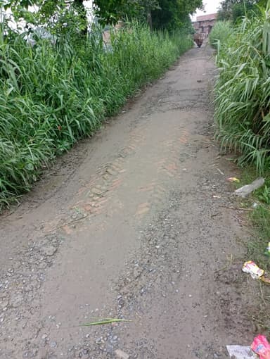 Broken Roads in CJ62+W9 Batardih, Bihar, India – reported issue