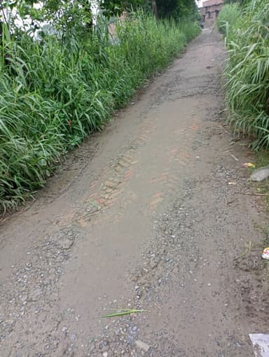 Broken Roads in CJ62+W9 Batardih, Bihar, India – reported issue