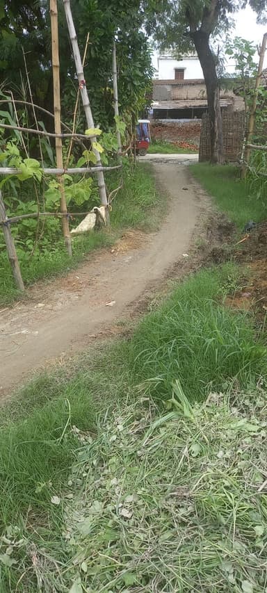 Broken Roads in 9G64+583, Harpur Gosain, Bihar 841420, India – reported issue