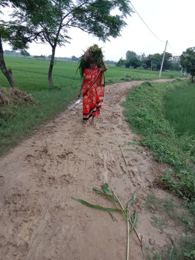 Broken Roads in G26F+4M7, Dumrauna, Bihar 841508, India – reported issue