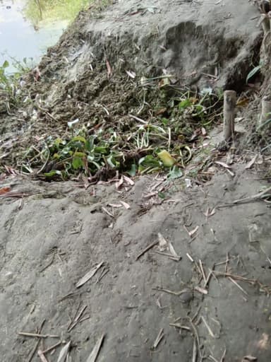 Broken Roads in G369+VQ Mahuahi, Bihar, India – reported issue