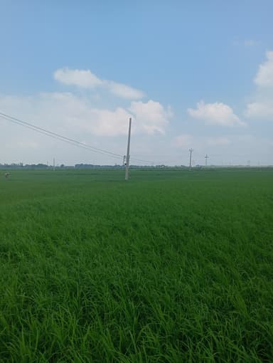 Power Cuts in C7GV+5C Donrapur, Bihar, India – reported issue