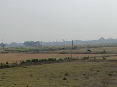 Power Cuts in 9848+5V Ekdanga, Bihar, India – reported issue