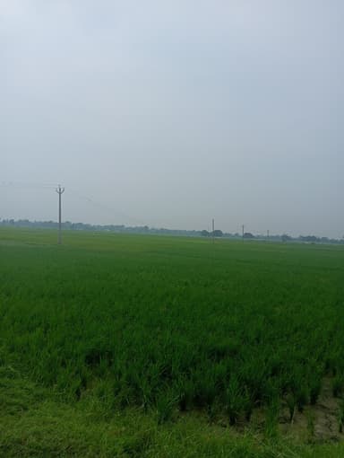 Power Cuts in C7GV+W7 Donrapur, Bihar, India – reported issue
