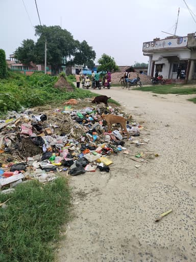 Garbage Problem in 9HHC+M6 Shekh Pur Dil, Bihar, India – reported issue