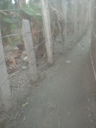Garbage Problem in NH-28 Rampur, Barahima, Rampur, Bihar 841405, India – reported issue