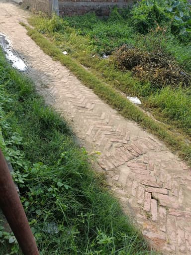 Garbage Problem in 9884+7H, Munrera, Bihar 841436, India – reported issue