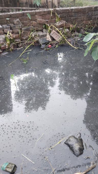 Garbage Problem in 9G56+CHR, Koini - Manjha - Sareyan Rd, Sareya Akhteyar, Bihar 841420, India – reported issue