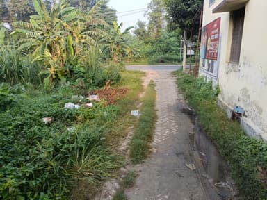 Garbage Problem in 9884+7H, Munrera, Bihar 841436, India – reported issue