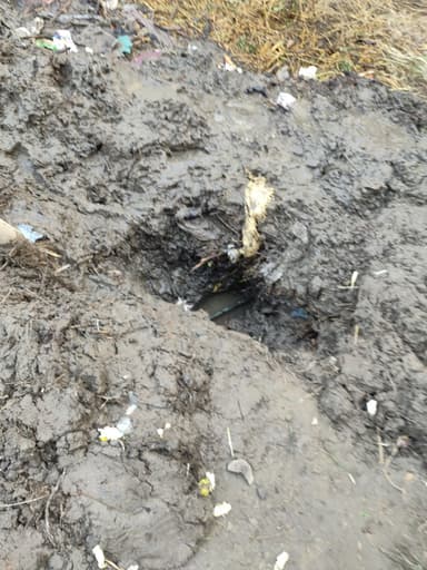 Nal jal Yojna in 8JPC+FPH, Bakharaur, Bihar 841407, India – reported issue