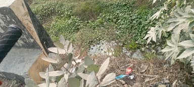Nal jal Yojna in 8P29+49, Bahadura, Bihar 841409, India – reported issue
