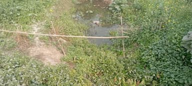 Nal jal Yojna in 8P29+49, Bahadura, Bihar 841409, India – reported issue