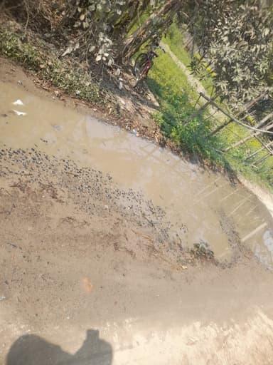 Nal jal Yojna in 9GPJ+8C2, Maranpur, Bihar 841405, India – reported issue