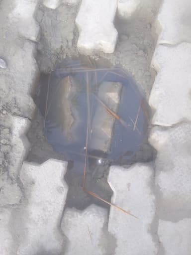 Sewer overflowing in 8MC5+H2 Tola Sakla, Bihar, India – reported issue