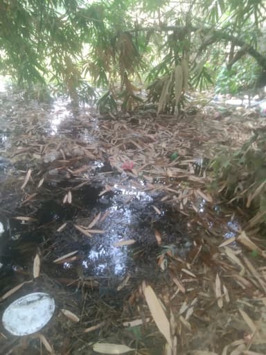 Sewer overflowing in 8QG7+G35, Maharani Ugarsain, Bihar 841409, India – reported issue