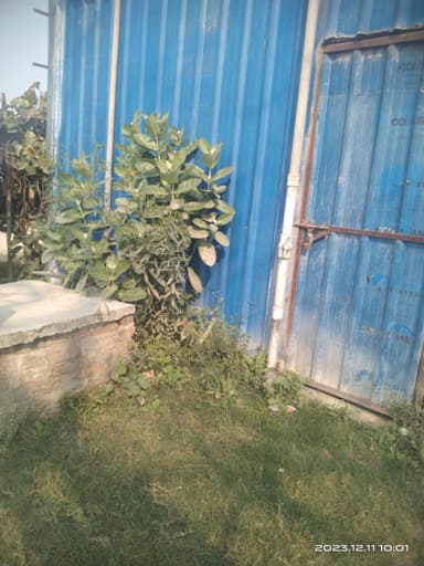 Nal jal Yojna in 6RM8+XV Sonbarsa, Bihar, India – reported issue