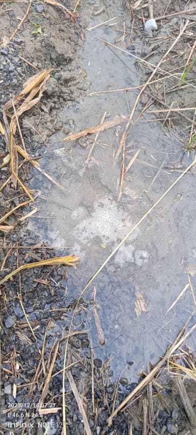Water logging in 8HJX+44P, Mohammadpur, Mohammad Pur Nilami, Bihar 841407, India – reported issue