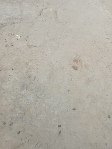 Water logging in 8P57+75J, सिधवलिया, Bahadura, Bihar 841409, India – reported issue