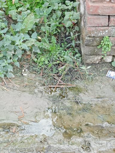Water logging in 8GJH+W65, Rachopali, Bihar 841420, India – reported issue