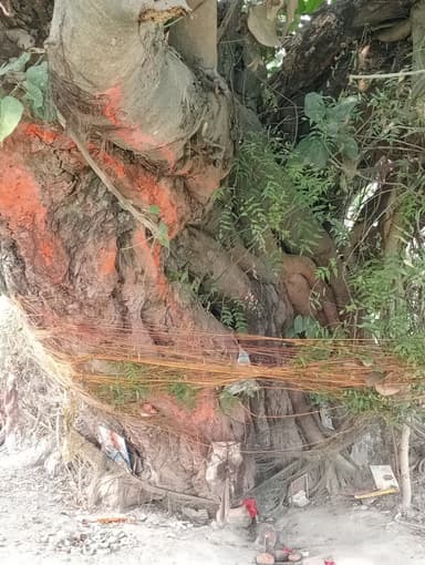 undefined in 8GJH+W65, Rachopali, Bihar 841420, India – reported issue