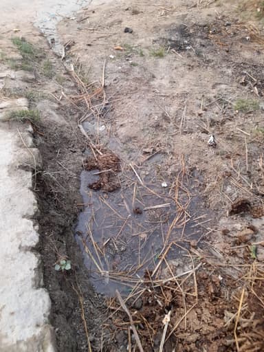 Sewer overflowing in 9GPQ+GJR, Nawada - Barauli Rd, Nawada, Bihar 841405, India – reported issue