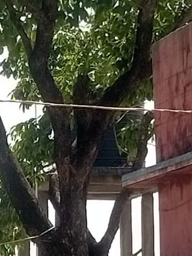 Nal jal Yojna in FGJ2+GX, Khawajepur, Bihar 841427, India – reported issue