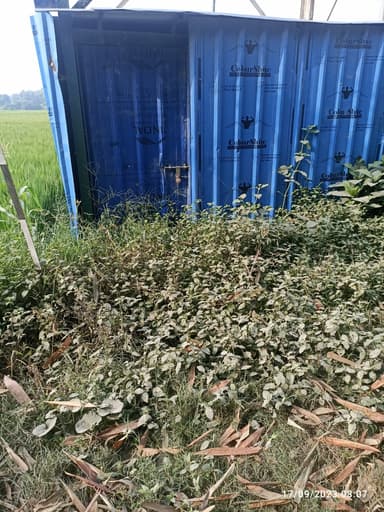 Water logging in G224+479, Amwa Ghat, Bihar 841508, India – reported issue