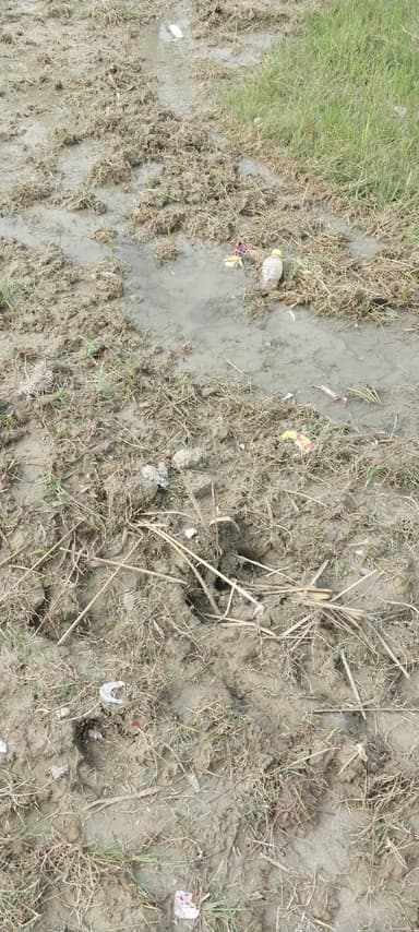 undefined in G9QQ+55 Bakhari, Bihar, India – reported issue