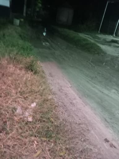 Sewer overflowing in 95JJ+MQ Harpur, Bihar, India – reported issue