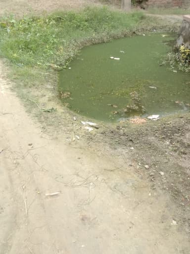 No beds in Hospitals in 8JV3+CR6, Balha, Bihar 841407, India – reported issue