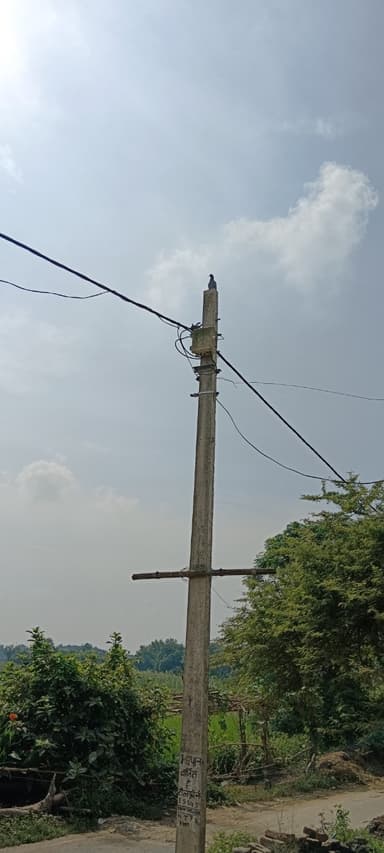 No Streetlights (residential area) in 95HV+X92, Ek Denga, Kharauni, Bihar 841243, India – reported issue