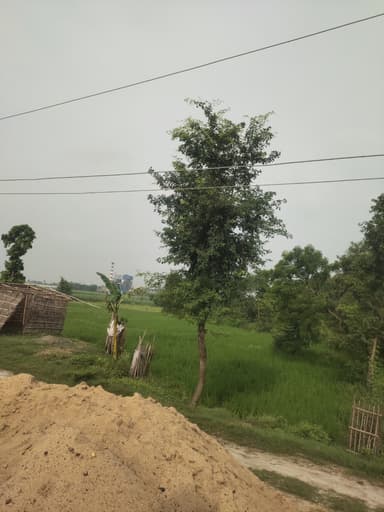 No Streetlights (residential area) in 6Q6W+63R, Basaha, Alapur, Bihar 841420, India – reported issue