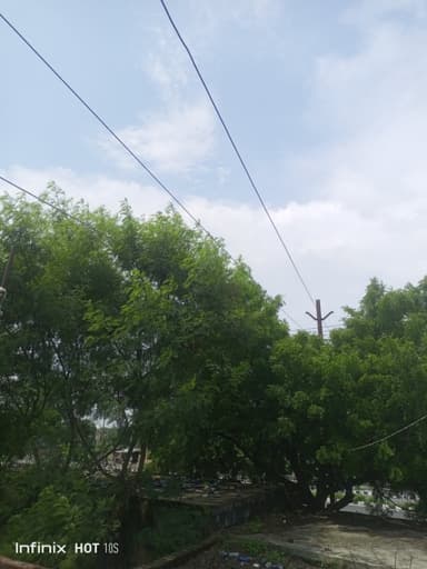No Streetlights (residential area) in G999+5PX, Tola Sirsia, Bihar 841505, India – reported issue