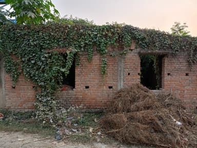 Other Problems in 89F3+FXR, Harpur, Barai Patti, Bihar 841436, India – reported issue