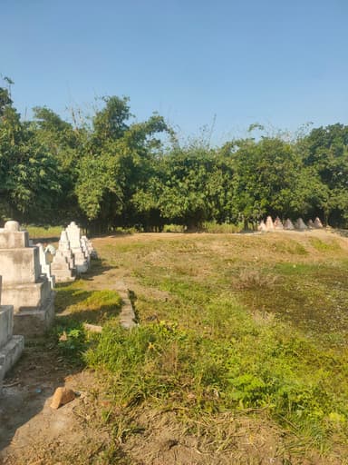 Other Problems in 9M62+JF6, Surhia, Bihar 841437, India – reported issue