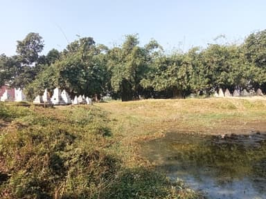 Other Problems in 9M62+JF6, Surhia, Bihar 841437, India – reported issue