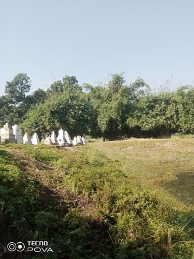 Other Problems in 9M92+WW Lohijara, Bihar, India – reported issue