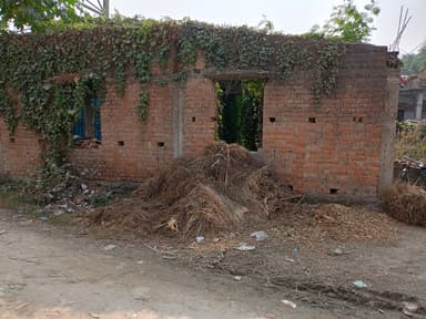 Other Problems in 89F3+PC6, Harpur Masjid Rd, Harpur, Barai Patti, Bihar 841436, India – reported issue