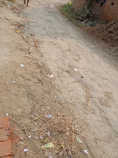 Other Problems in 89F3+PC6, Harpur Masjid Rd, Harpur, Barai Patti, Bihar 841436, India – reported issue