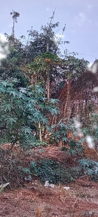 Other Problems in HC27+PQ Semra, Bihar, India – reported issue