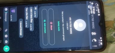 Garbage Problem in 244P+XHP - Mina Jebel Ali - Jabal Ali Industrial First - Dubai - United Arab Emirates – reported issue