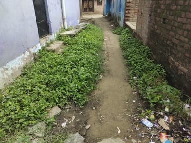Other Problems in F7CX+8H6, Chhotka Sankhe, Bihar 841425, India – reported issue