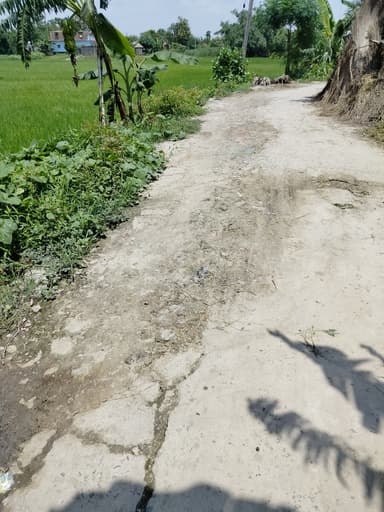 Other Problems in 7R2F+6J Parsauni, Bihar, India – reported issue