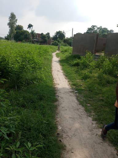 Other Problems in G35J+6XX, Panan Khas, Bihar 841441, India – reported issue