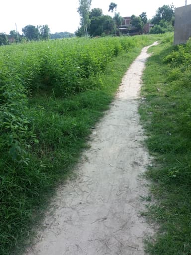 Other Problems in G35J+6XX, Panan Khas, Bihar 841441, India – reported issue
