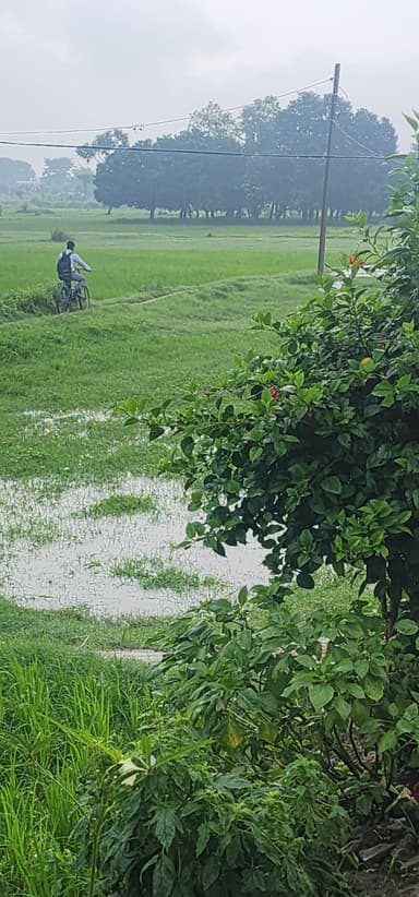 Other Problems in F9XC+4M Chauchakka, Bihar, India – reported issue