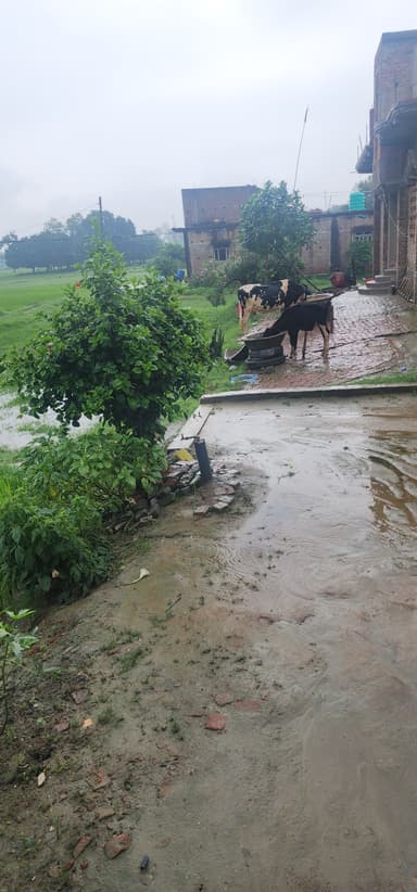 Other Problems in F9XC+4M Chauchakka, Bihar, India – reported issue