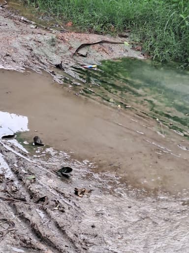 Broken Roads in J668+28 Sangawa Dih, Bihar, India – reported issue